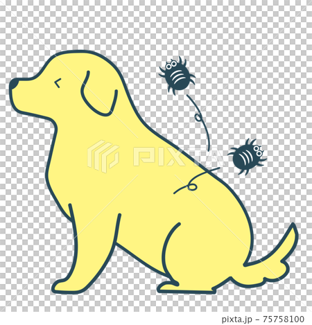 犬　ダニ・ノミで痒い 75758100