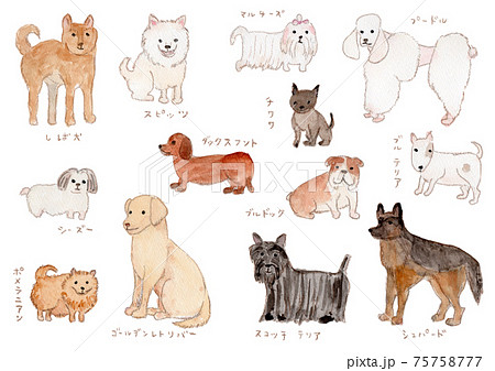 いろいろな犬種の水彩イラストのイラスト素材