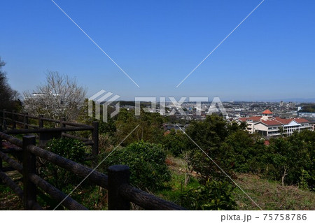 早春の加木屋緑地 早春の加木屋緑地 75758786