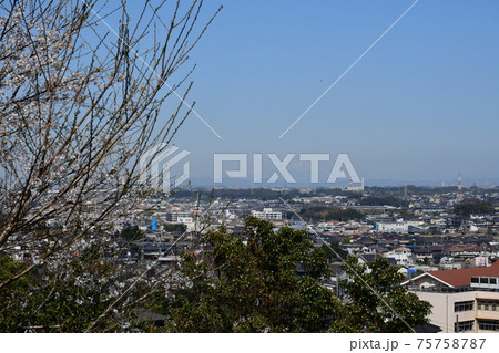 早春の加木屋緑地 早春の加木屋緑地 75758787