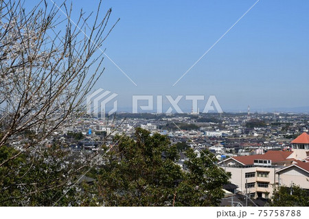 早春の加木屋緑地 75758788