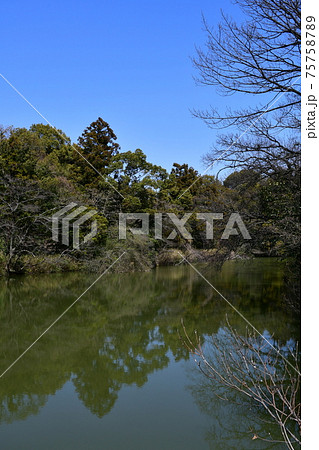 早春の加木屋緑地 早春の加木屋緑地 75758789