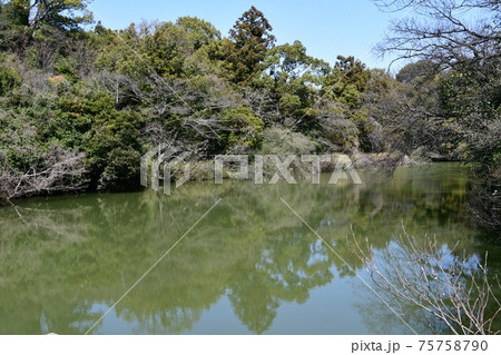 早春の加木屋緑地 早春の加木屋緑地 75758790