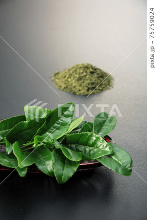 お茶の葉と加工された茶葉 75759024