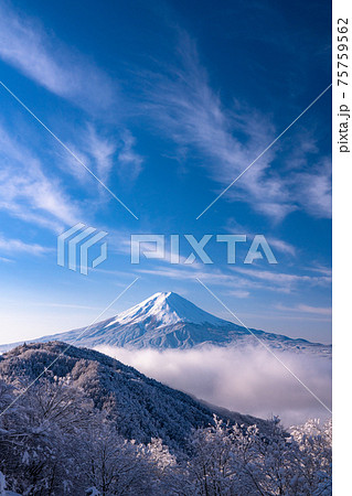 《山梨県》富士山と樹氷・日本の冬景色 《山梨県》富士山と樹氷・日本の冬景色 75759562