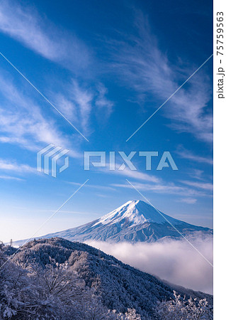 《山梨県》富士山と樹氷・日本の冬景色 《山梨県》富士山と樹氷・日本の冬景色 75759563
