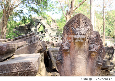 Statues of multi-headed serpents or nagas and ruin of Koh Ker complex, Cambodia Statues of multi-headed serpents or nagas and ruin of Koh Ker complex, Cambodia 75759837