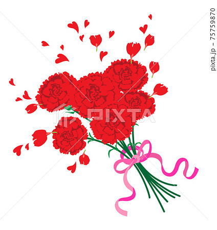 赤いカーネーションの花束 赤いカーネーションの花束 75759870