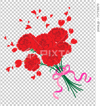 赤いカーネーションの花束 赤いカーネーションの花束 75759870