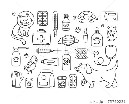 Veterinary set with pets, medicines and food. A cat in a collar and a dog with a bandaged paw. 75760221