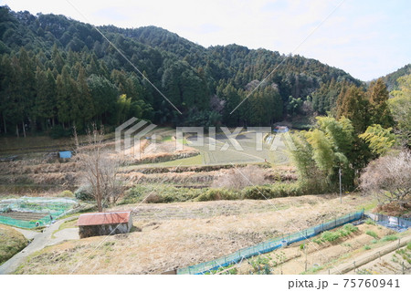 春の田園 春の田園 75760941