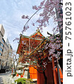 神田明神入り口と垂れ桜 神田明神入り口と垂れ桜 75761023