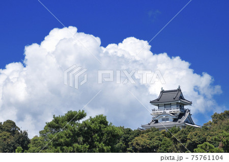 夏の小山城 夏の小山城 75761104