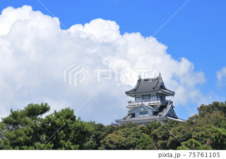 夏の小山城 夏の小山城 75761105