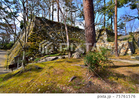 明智光秀ゆかりの丹波亀山城の石垣　天守台跡 75761576