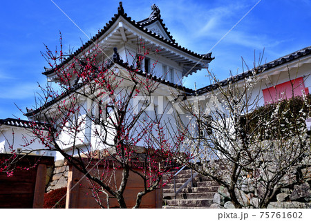 快晴下の「丹後田辺城」ニ重櫓・大手門 75761602