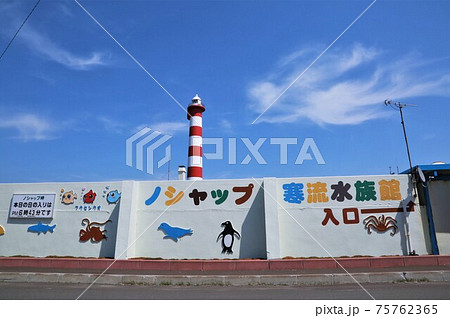 ノシャップ寒流水族館(北海道稚内市) ノシャップ寒流水族館(北海道稚内市) 75762365