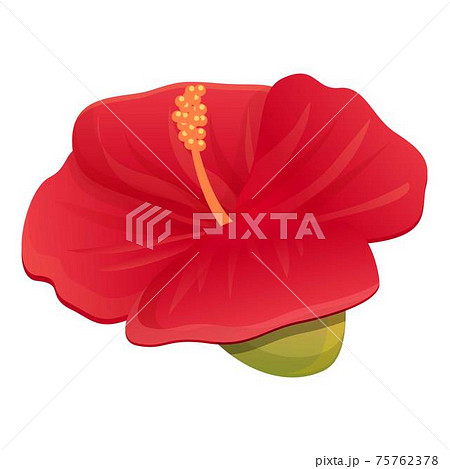 Carmine hibiscus icon, cartoon style Carmine hibiscus icon, cartoon style 75762378