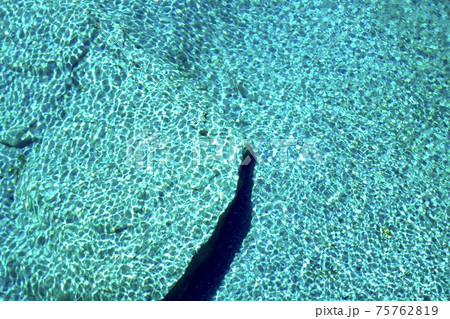 ニュージーランドの綺麗な水の波紋 75762819