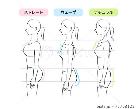 骨格タイプ診断のイラスト 比較線あり 骨格タイプ診断のイラスト 比較線あり 75763125
