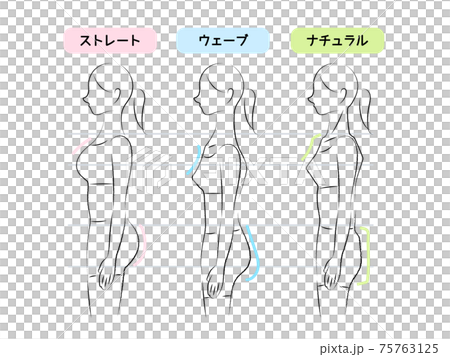 骨格タイプ診断のイラスト 比較線あり 骨格タイプ診断のイラスト 比較線あり 75763125