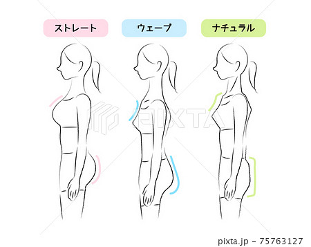 骨格タイプ診断のイラスト 骨格タイプ診断のイラスト 75763127