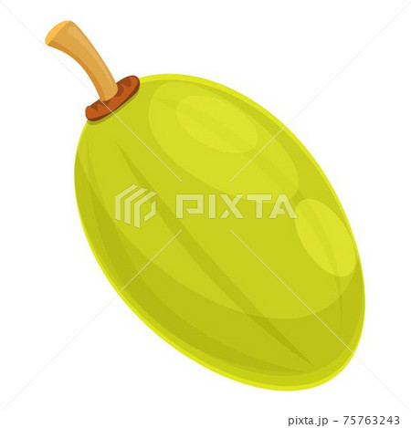 Green nut shea icon, cartoon style 75763243