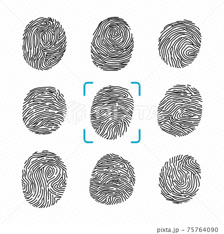Set of different fingerprints. Police scanner for criminal identity. monochrome illustrations 75764090