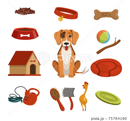 Different Accessories For Domestic Pet Dog In Stock Illustration