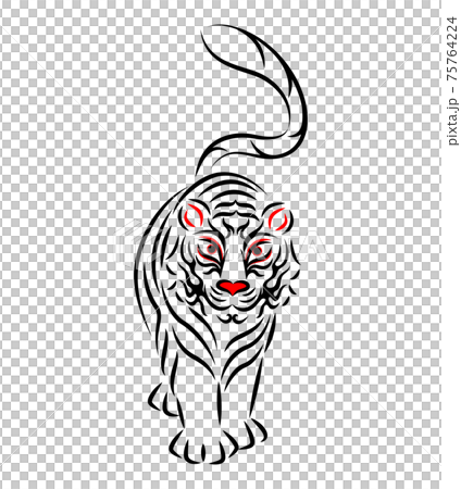 White Tiger White Tiger Illustration Japanese Traditional Performing Arts Kabuki Stage Makeup Kumadori Design Vector 75764224