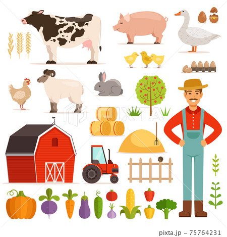 Different farm elements. Vegetables, transport and domestic animals. illustrations set 75764231