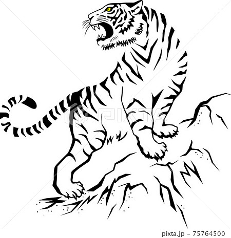 A Tiger Barking In A Rocky Mountain Stock Illustration