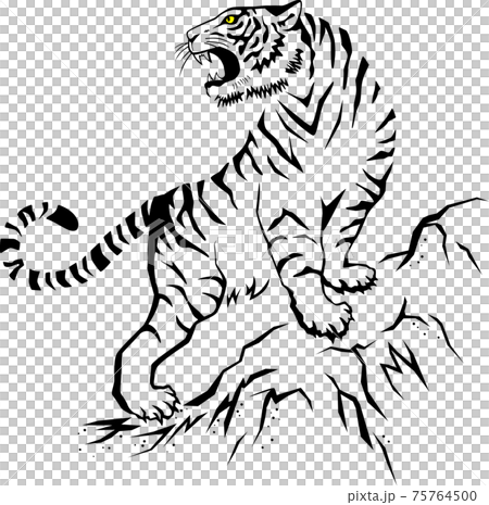 一隻老虎在洛磯山脈咆哮 75764500
