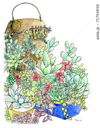多肉植物の寄せ植えのイラスト素材 [75764656] - PIXTA