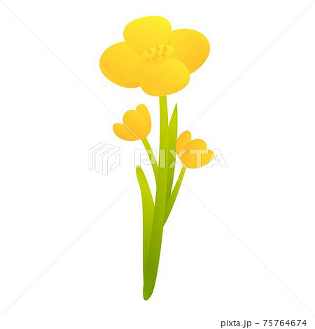 Canola field plant icon, cartoon style Canola field plant icon, cartoon style 75764674