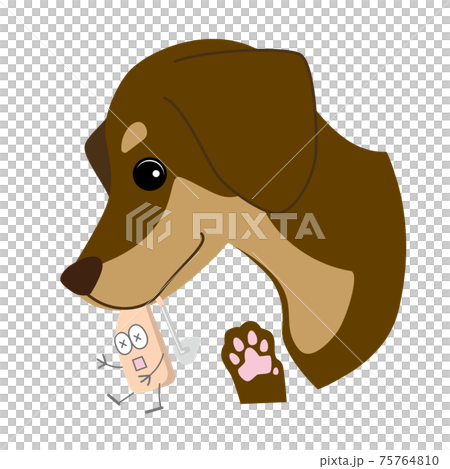 Illustration of a hearing aid for the ear bitten by a dog 75764810
