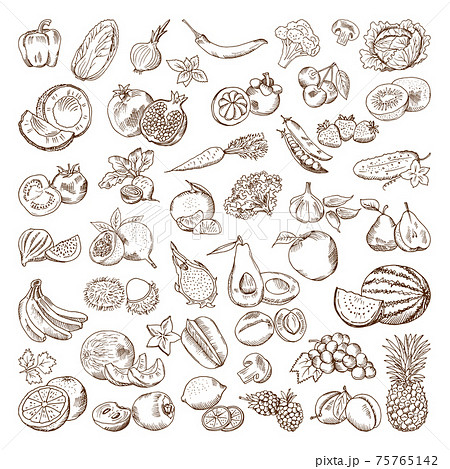 hand drawn pictures of fruits and vegetables. Doodle vegan food illustrations 75765142