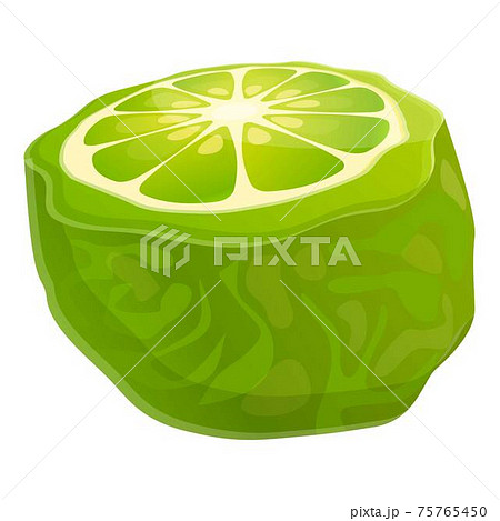 Bergamot Citron Icon Cartoon Styleのイラスト素材 Bergamot Citron Icon Cartoon Styleのイラスト素材