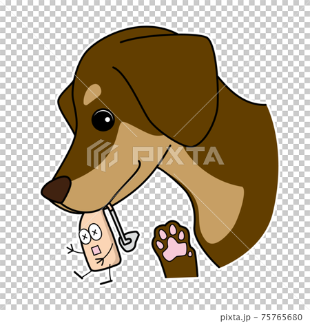 犬にかまれている耳かけ補聴器のイラスト 75765680
