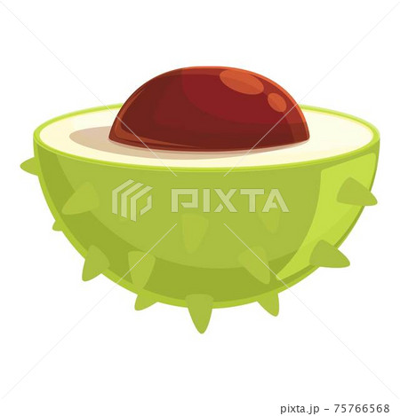 Chestnut half cutted icon, cartoon style 75766568