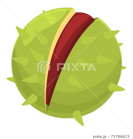 Horse chestnut icon, cartoon style Horse chestnut icon, cartoon style 75766625