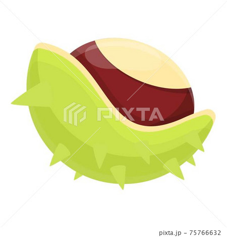 Chestnut icon, cartoon style 75766632