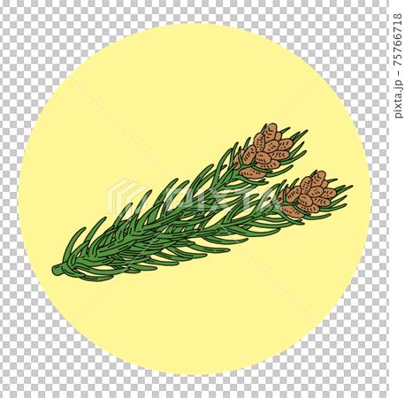 花粉 花粉症 スギ イラスト 単体 75766718