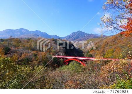 紅葉に色付く清里 東沢大橋 75766923