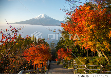 Autumn scene at entrance to Arakura Sengen Shrine, the path leading to the Chureito Pagoda Autumn scene at entrance to Arakura Sengen Shrine, the path leading to the Chureito Pagoda 75767979