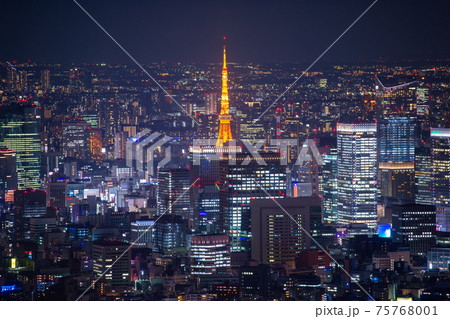 Tokyo city skyline at night. Tokyo city skyline at night. 75768001