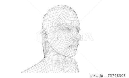 Wireframe portrait of a young beautiful girl 75768303