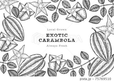 Hand drawn sketch style carambola banner. Organic fresh fruit vector illustration. Retro fruit design template Hand drawn sketch style carambola banner. Organic fresh fruit vector illustration. Retro fruit design template 75769510