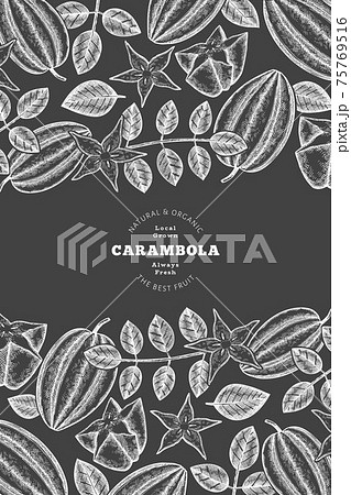 Hand drawn sketch style carambola banner. Organic fresh fruit vector illustration on chalk board. Retro fruit design template Hand drawn sketch style carambola banner. Organic fresh fruit vector illustration on chalk board. Retro fruit design template 75769516