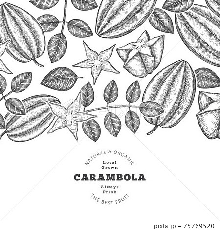 Hand drawn sketch style carambola banner. Organic fresh fruit vector illustration. Retro fruit design template Hand drawn sketch style carambola banner. Organic fresh fruit vector illustration. Retro fruit design template 75769520